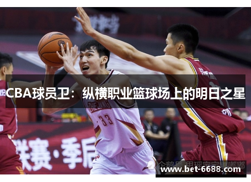 CBA球员卫：纵横职业篮球场上的明日之星