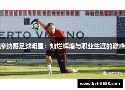 摩纳哥足球明星：灿烂辉煌与职业生涯的巅峰