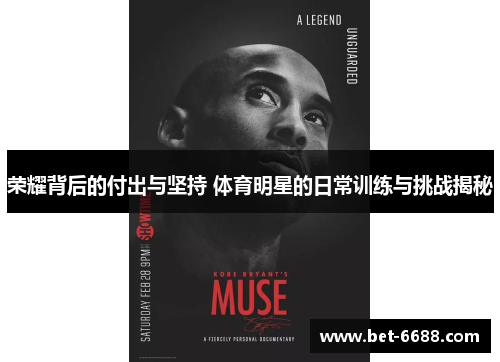 荣耀背后的付出与坚持 体育明星的日常训练与挑战揭秘